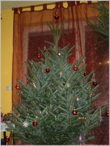201012_Weihnachtsbaum003