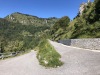 IMG_7221
