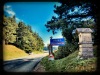 Processed with MOLDIV