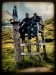 Processed with MOLDIV