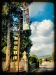 Processed with MOLDIV